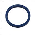 Picture of Seal - Ucup