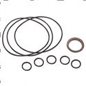 Picture of Seal Kit -  Orbitrol