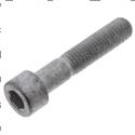 Picture of Socketheadscrew M10x5010.