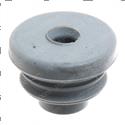 Picture of Seal