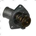 Picture of Thermostat Assembly