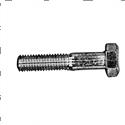 Picture of Screw