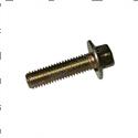 Picture of Capscrew