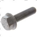 Picture of Bolt