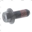 Picture of Bolt