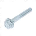 Picture of Capscrew