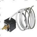 Picture of Thermostat 24v