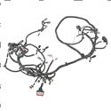 Picture of Wire Harness -  Main Man-Hydra