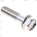 Picture of Bolt