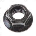 Picture of Nut