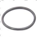 Picture of O-Ring