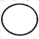 Picture of O-Ring