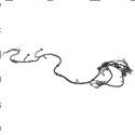 Picture of Wire Harness