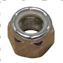 Picture of Nut