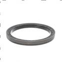Picture of Seal - Oil