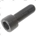 Picture of Bolt