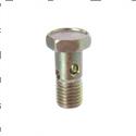 Picture of Bolt - Hollow
