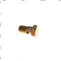 Picture of Screw - Hollow