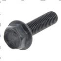 Picture of Bolt Hxfl M8-1.25x30