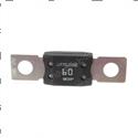 Picture of Fuse 60a