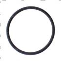 Picture of O-Ring