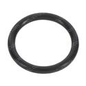 Picture of O-Ring
