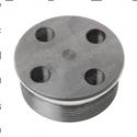 Picture of Plug
