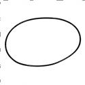 Picture of O-Ring