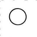 Picture of O-Ring