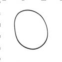 Picture of Ring - Back Up