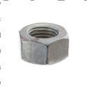 Picture of Nut,full