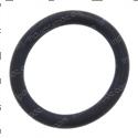 Picture of O-Ring
