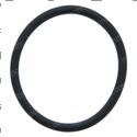 Picture of O-Ring