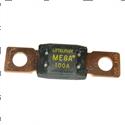 Picture of Fuse 100a