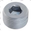 Picture of Plug - Taper