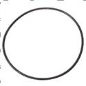 Picture of O-Ring