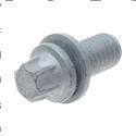 Picture of Bolt