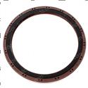Picture of Seal - Oil