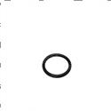 Picture of O-Ring