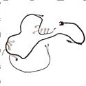 Picture of Harness - Accessory Dlx