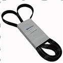 Picture of Belt - Serpentine