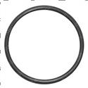 Picture of Seal
