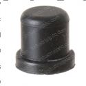 Picture of Plug