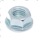 Picture of Nut