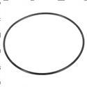 Picture of O-Ring