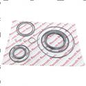 Picture of Seal Kit - Hydraulic Pump