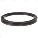 Picture of Seal - Oil