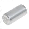 Picture of Pin