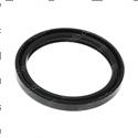 Picture of Seal