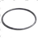 Picture of O-Ring